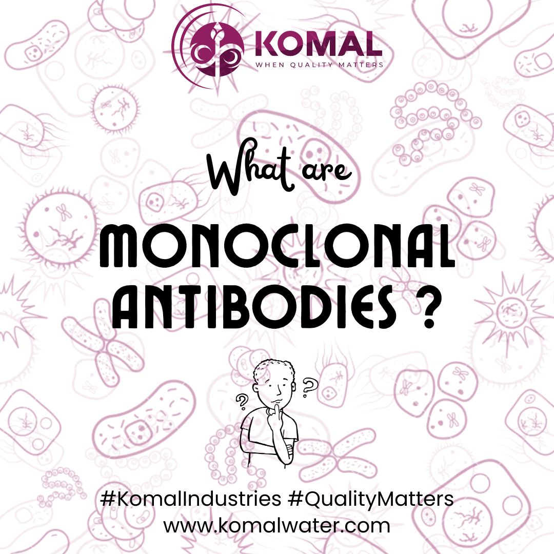 The Journey of Monoclonal Antibodies in Bioreactors