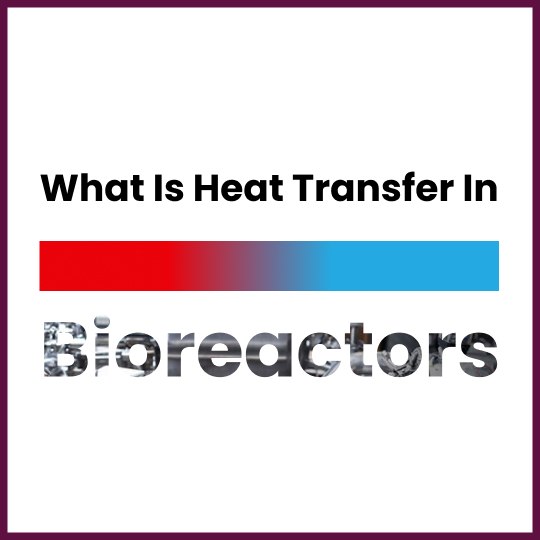 Heat Transfer in Bioreactors