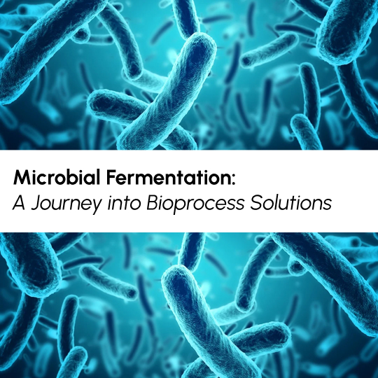 Microbial Fermentation A Journey into Bioprocess Solutions